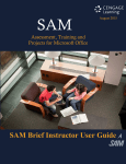 SAM Brief Instructor User Guide