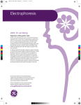 IEF, SDS-PAGE & 2–D Electrophoresis
