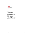 Effective 5 Slot ATCA DC Shelf User Manual