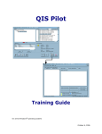 QIS Pilot - QIES Technical Support Office