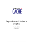 Expressions and Scripts in DeepSee