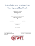 Chapter 1 - Worcester Polytechnic Institute