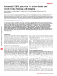 Advanced CUBIC protocols for whole-brain and whole