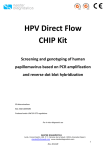 HPV Direct Flow CHIP Kit