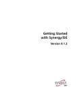 Getting Started with Synergy/DE