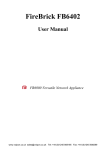 FireBrick FB6402 Firewall User Manual