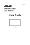 VW199 Series LCD Monitor User Guide