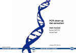 PCR clean-up Gel extraction User manual