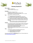 Rosemary Essential Oil - Extract your own essential oil