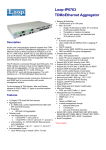 Loop-IP6763 TDMoEthernet Aggregator