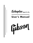 Echoplex manual