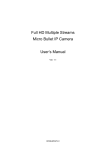 Full HD Multiple Streams Micro Bullet IP Camera User`s Manual