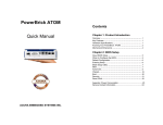 PowerBrick ATOM User Manual