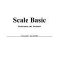 IDS Scale Basic Programming Manual