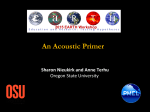 An Acoustic Primer