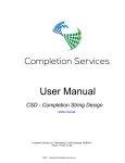 CSD User Manual - Completion Services