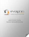 Zoom Version Control Essentials: Working With Versioning