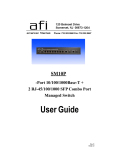 SM10p Manual - American Fibertek