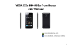 VEGA IIIa DM-993a User Manual(English)