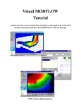 Visual MODFLOW Tutorial