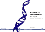 Total RNA and DNA Purification