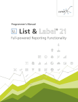 List & Label Programmer`s Manual