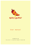 User manual - Spicy Guitar
