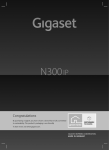 Gigaset N300 IP