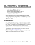 Gene Expression Analysis of a Down`s Syndrome