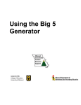 Big 5 Generator Directions