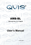 AMB-BL BULLET Manual