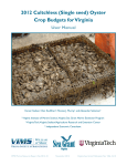 2012 Cultchless (Single seed) Oyster Crop Budgets for Virginia User