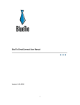 BlueTie DirectConnect User Manual