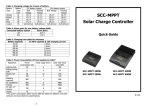 User`s Manual - Voltronic Power