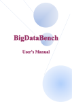 User`s Manual of BigDataBench_V1.0