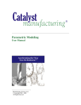 Parametric Modeling - Catalyst Manufacturing