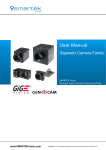 SMARTEKVision Giganetix User Manual