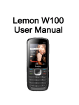 Lemon_W100_User Manual