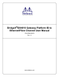 BridgeX BX4010 Gateway Platform IB to Ethernet/Fibre