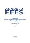User Manual - Anadolu EFES Financial Consolidation and Reporting