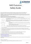 NAO Evolution Safety Guide
