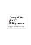 OmegaT for CAT Beginners