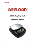 ANYLOAD | EB300 Precision Scale Manual