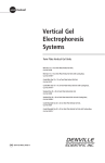 Vertical Gel Electrophoresis Systems