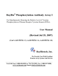 User Manual RTK Phosphorylation Antibody Array (Membranes)