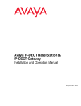Avaya IP-DECT Base Station & IP-DECT Gateway