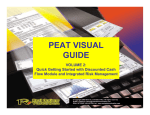 PEAT VISUAL GUIDE - Real Options Valuation, Inc.