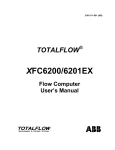 XFC6200/6201EX - Flow Computer User`s Manual