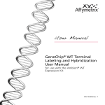 Affy GeneChip WT Term Label & Hybridization User Guide