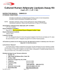 Cultured Human Adipocyte Lipolysis Assay Kit
